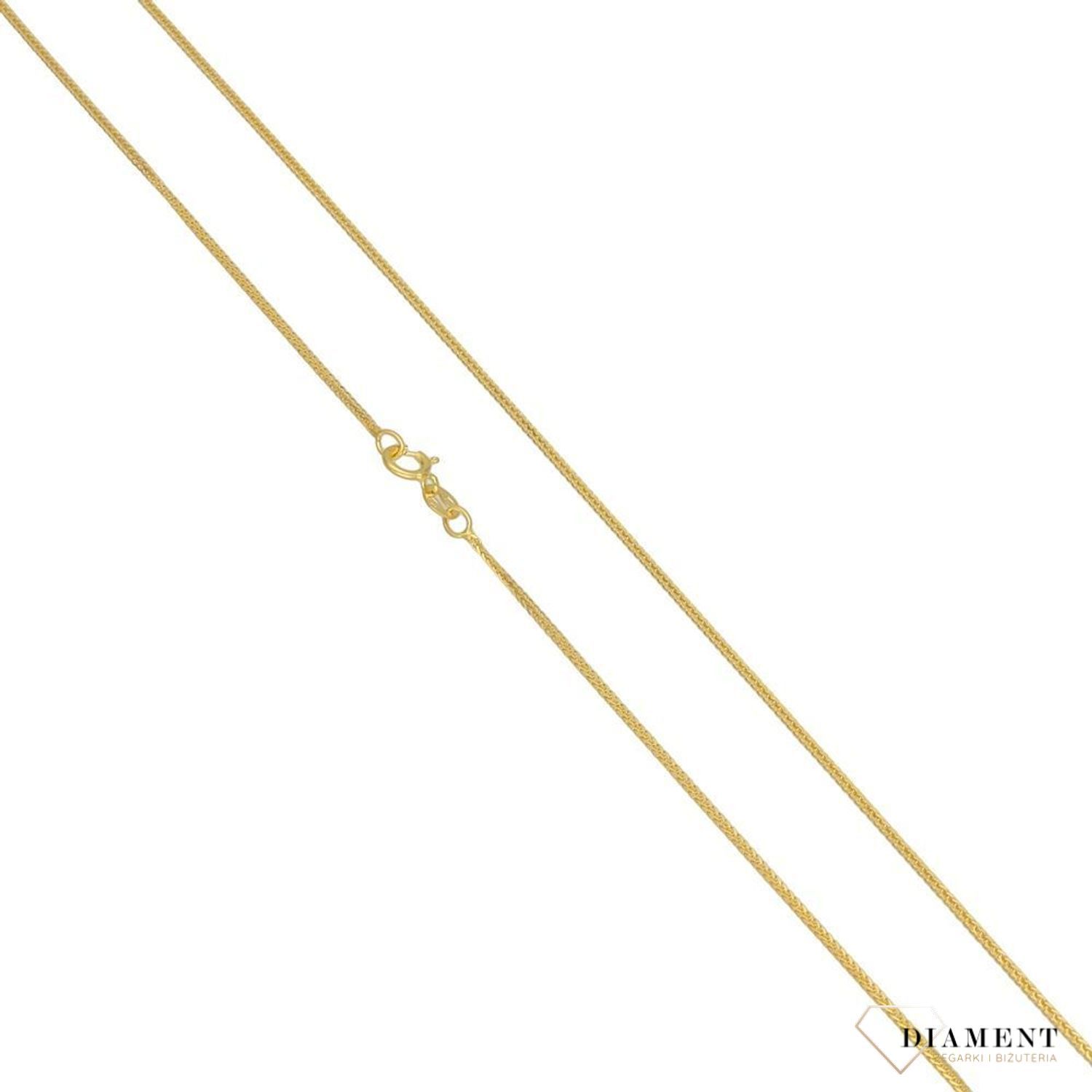 Łańcuszek lisi ogon 585 349.jpg